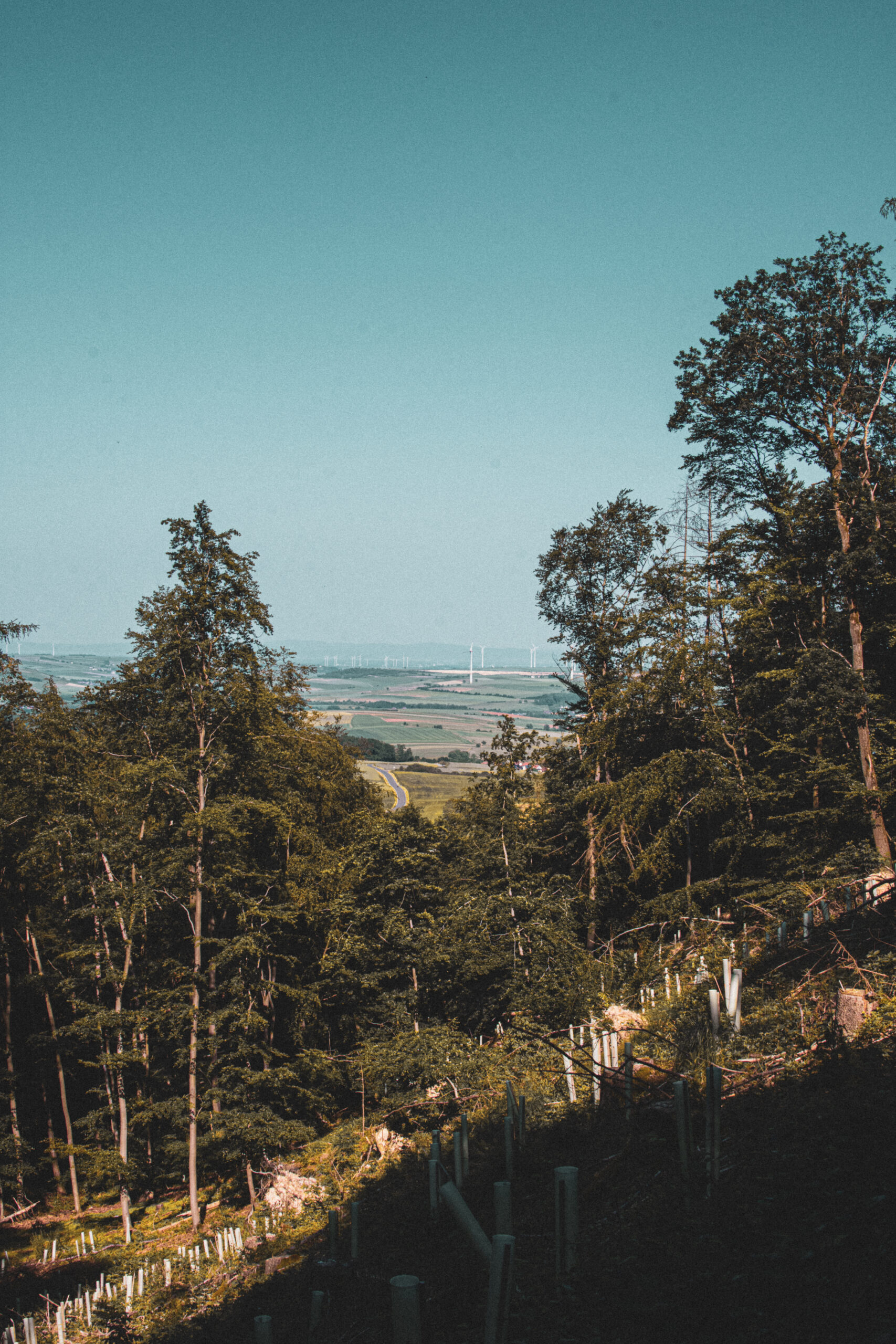 lookout